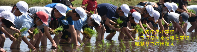 上河内中央小学校（稲でつながる地域と学校：縦割りでの田植え）