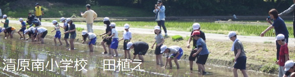 清原南小学校(田植え)