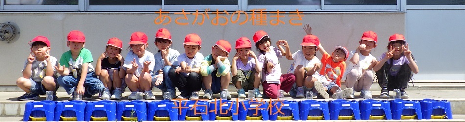 平石北小学校（あさがおの種まき）