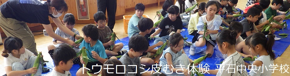 平石中央小学校（トウモロコシ皮むき）