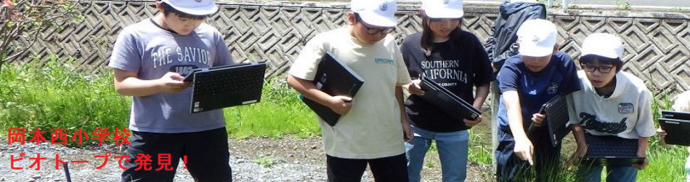 岡本西小学校（ビオトープで発見！）