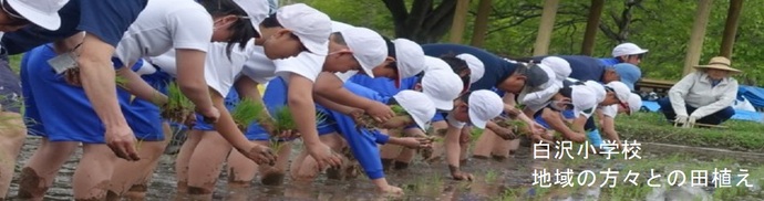 白沢小学校（地域の方々との田植え）