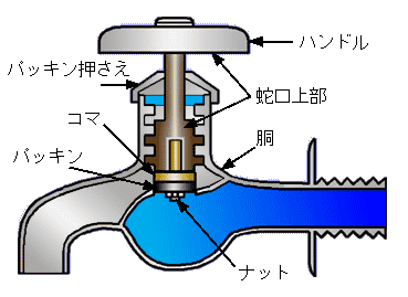 蛇口の構造と名称