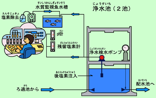 浄水池