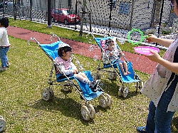 芝生の庭で外遊びをしている様子