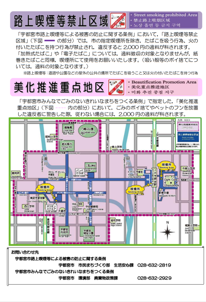 チラシ裏面