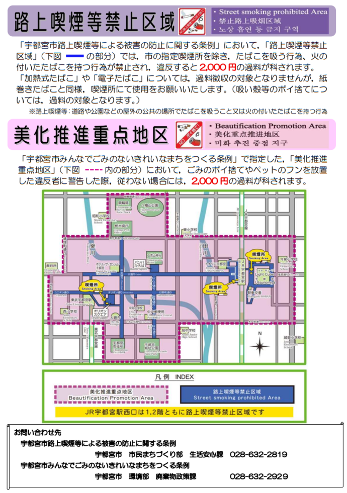 チラシ裏面
