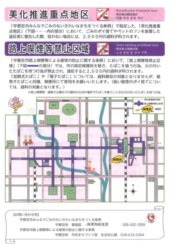 チラシ裏面