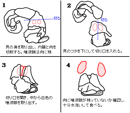 唾液腺の除去方法　（詳細は以下テキスト）