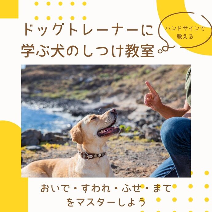 しつけ写真