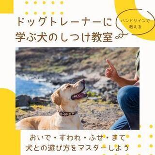 写真2