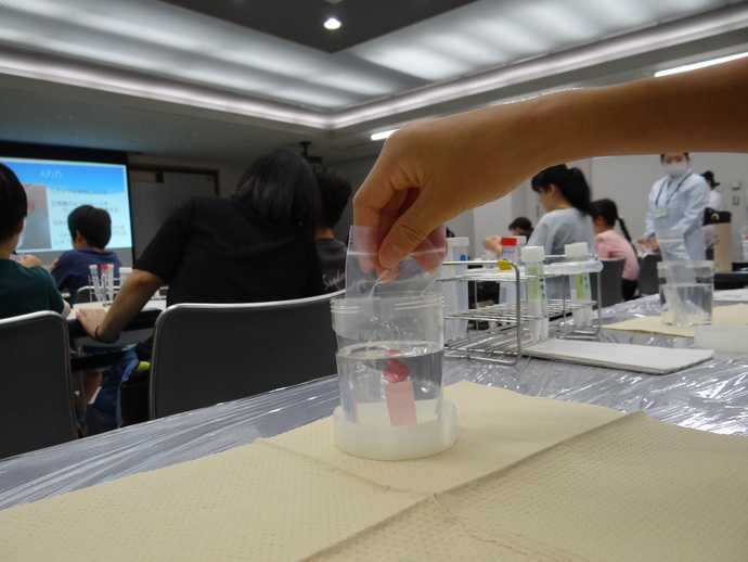 光の不思議を見てみよう