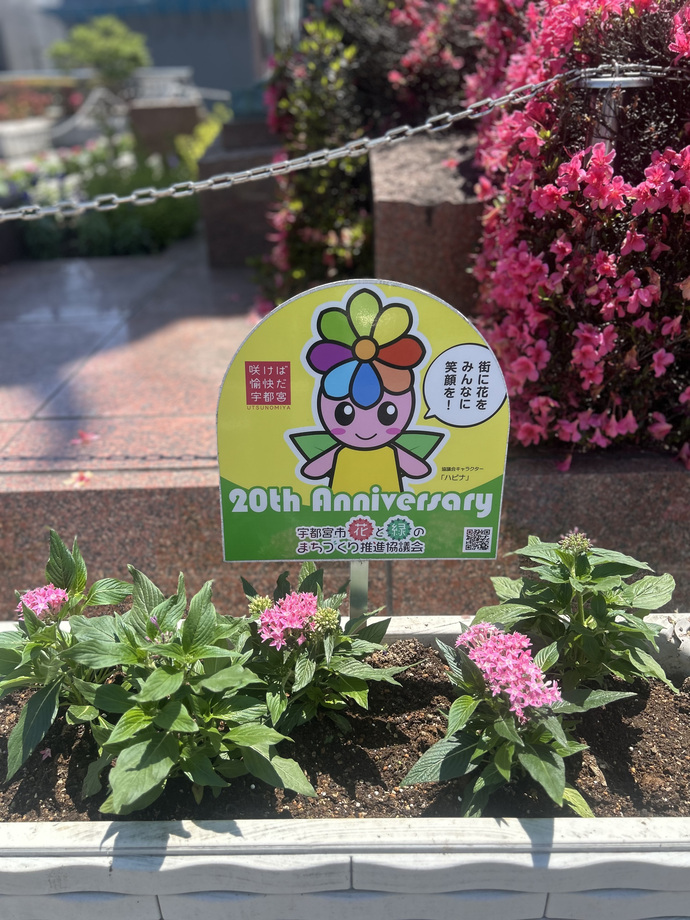 活動イメージ