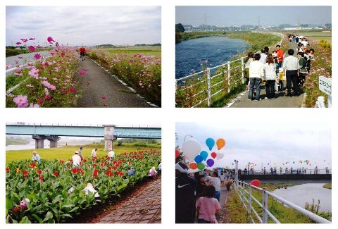 コスモスロードなど、川沿いに花が咲き、賑わう様子の写真。