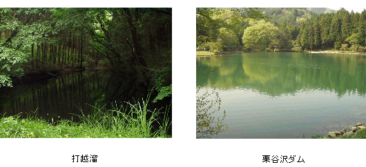 打越溜と栗谷沢ダム