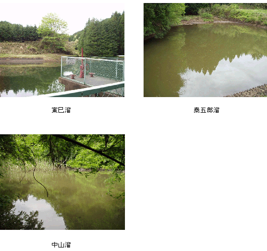 寅巳溜と秦五郎溜と中山溜