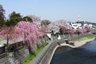 田川の遊歩道