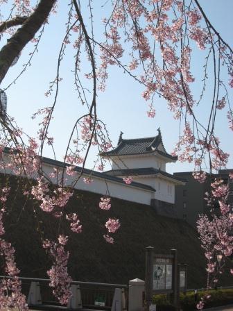 宇都宮城桜まつり