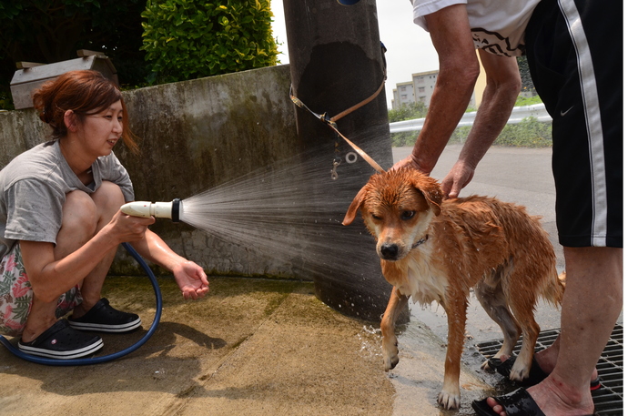 すすぎは水道水で