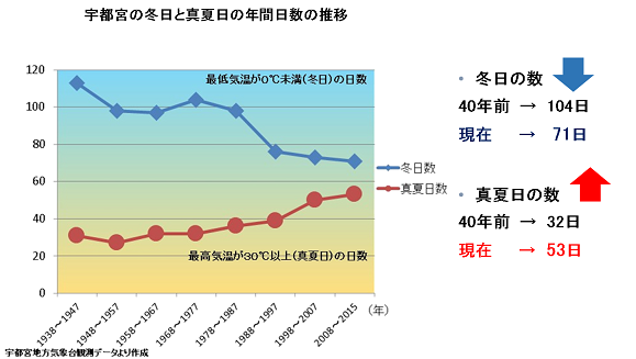 宇都宮市の冬日の日数は、40年前は104日でしたが、現在は71日になりました。一方、真夏日の日数は、40年前は32日でしたが現在は53日に増えています。