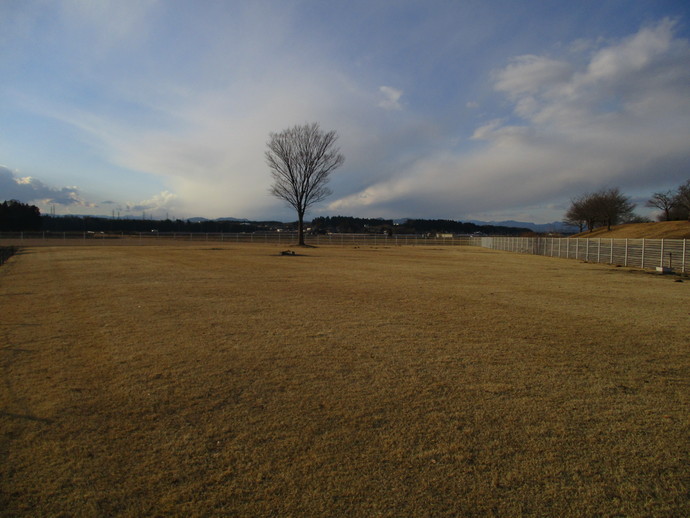 桜づつみ園バーベキュー広場