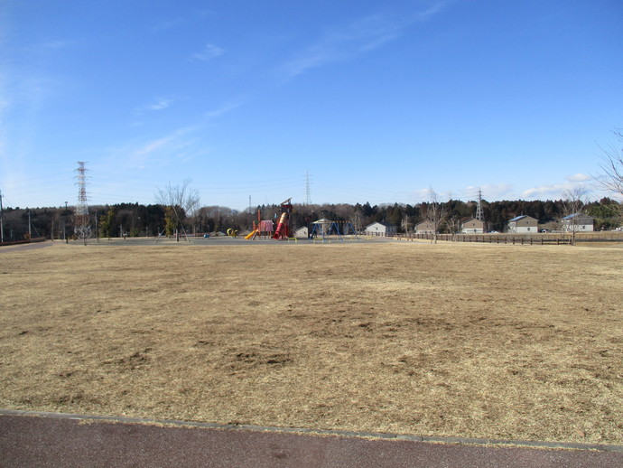 テクノさくら公園全景