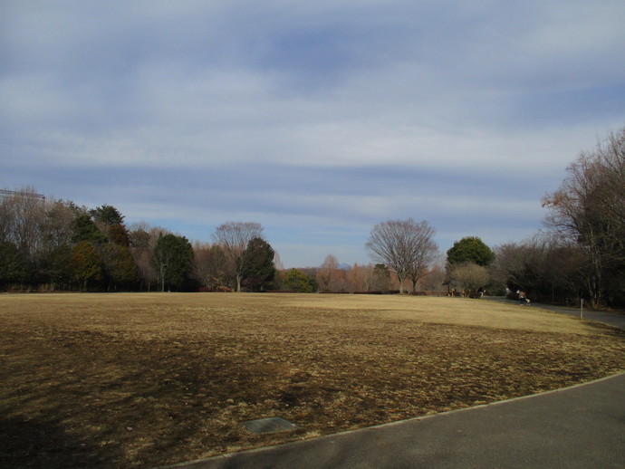 長岡公園全景