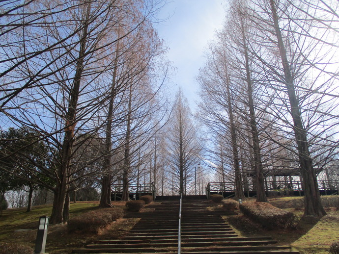 長岡公園全景