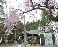 蒲生神社写真