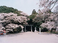 護国神社写真