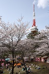 八幡山公園写真