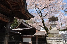 二荒山神社写真