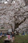 宇都宮大学工学部写真