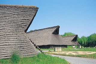 うつのみや遺跡の広場園内の様子