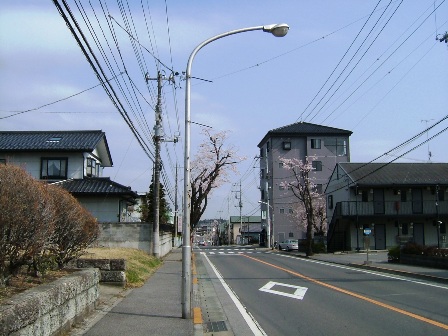 街路灯の写真