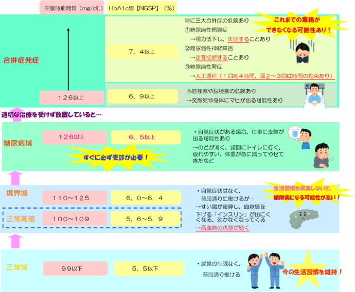 糖尿病進行のフロー図：1.正常域（空腹時血糖値99以下、ヘモグロビンエーワンシー値5.5以下）、就業の制限なく普段通り働ける、今の生活習慣を維持、2.正常高値（空腹時血糖値100～109、ヘモグロビンエーワンシー値5.6～5.9）と境界域（空腹時血糖値110～125、ヘモグロビンエーワンシー値6.0～6.4）、自覚症状はなく、普段通り働けるが、すい臓が疲弊し、血糖値を下げる「インスリン」が出にくくなる、効かなくなってくるため、高血糖の状態が続く、生活習慣を改善しないと、糖尿病になる可能性が高い、3.糖尿病域（空腹時血糖値126以上、ヘモグロビンエーワンシー値6.5以上）、すぐに必ず受診が必要、自覚症状が（のどが渇く、頻回にトイレに行く、疲れやすい、体重が急に減って痩せてきたなど）ある場合、仕事に支障が出る可能性あり、4.適切な治療を受けずに放置していると、合併症発症：ヘモグロビンエーワンシー値6.9以上で心筋梗塞や脳梗塞の危険があり、突然死や身体に麻痺が出る可能性あり、ヘモグロビンエーワンシー値7.4以上で特に三大合併症（糖尿病性網膜症：視力低下し、失明することあり、糖尿病性神経障がい：足を切断することあり、糖尿病性腎症：人工透析（1回約4時間、週2～3回は時間の拘束あり）の危険あり、これまでの業務ができなくなる可能性あり