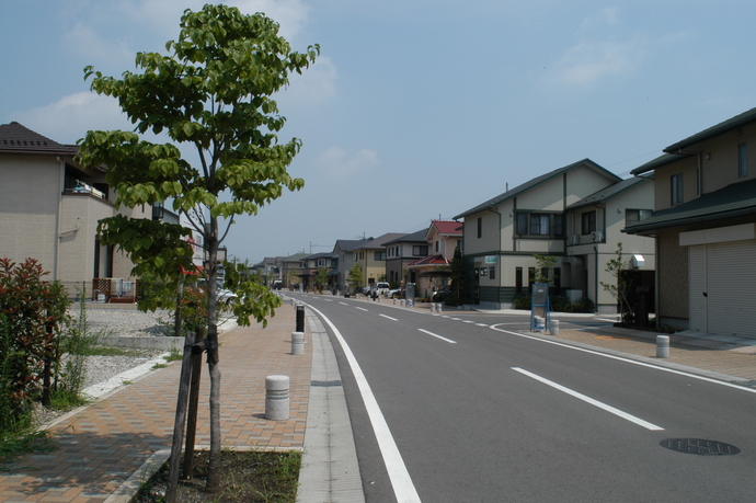 景観賞　陽東桜が丘（陽東6丁目）