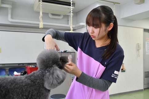 丸本美瑠さんの写真