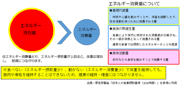 図：エネルギー摂取量と消費量の関係性　エネルギー消費量より、摂取量が上回ると、体重は増加し、肥満につながります。　エネルギー消費量　（1）基礎代謝量　呼吸や心臓を動かすことや、体温を調節したり、生命活動を保つために消費される量　（2）食後の熱産生量　食事により体内に吸収された栄養素が分解され、その一部が体熱となって消費される量　通常の食事では摂取したエネルギーの10％程度　（3）身体活動量　歩行などの身体を動かすことで消費する量　（注意）食べない（エネルギー摂取量少）、動かない（エネルギー消費量少）で体重を維持しても、筋肉や骨格を維持することはできないため、健康の維持・増進にはつながりません。