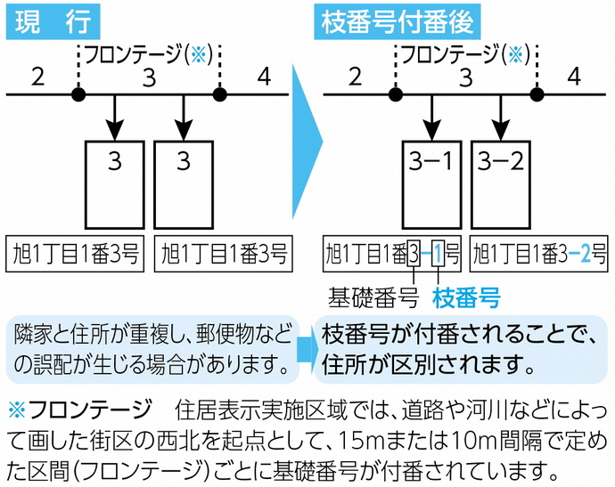 枝番号の付け方