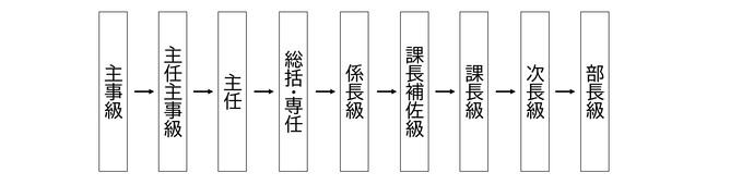 職員のキャリアパス