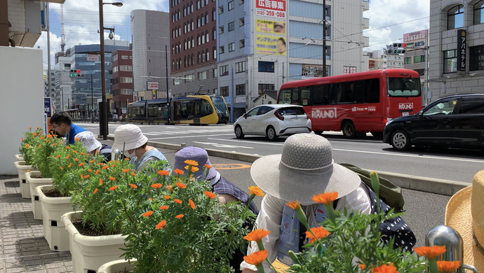 花によるライトライン沿線への彩り