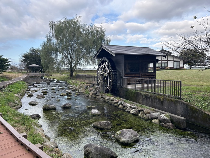 バイカモのある水辺
