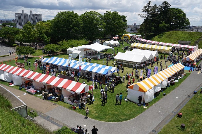フェスタmy(マイ)宇都宮2016の城址公園全景