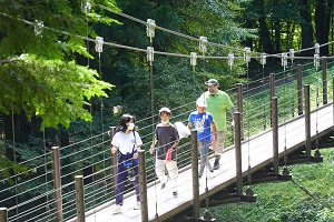 bridge