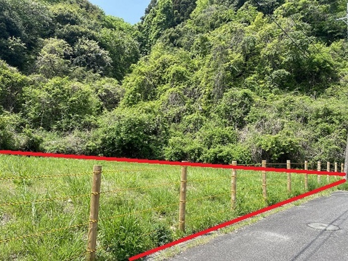 東側から撮影