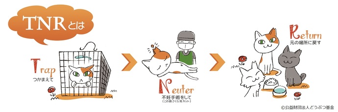 説明イラスト