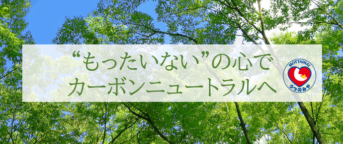 トップ画像