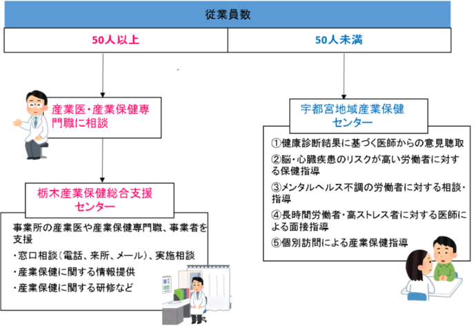 相談窓口フロー図、従業員数50人以上:事業所の産業医・産業保健専門職に相談、栃木産業保健総合支援センターで事業所の産業医や産業保健専門職、事業者を支援。窓口相談(電話、来所、メール)、実施相談、産業保健に関する情報提供、産業保健に関する研修など。従業員数50人未満:宇都宮地域産業保健センターで1.健康診断結果に基づく医師からの意見聴取、2.脳・心臓疾患のリスクが高い労働者に対する保健指導、3.メンタルヘルス不調の労働者に対する相談・指導、4.長時間労働者・高ストレス者に対する医師による面接指導、5.個別訪問による産業保健指導