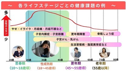 女性ホルモンと健康